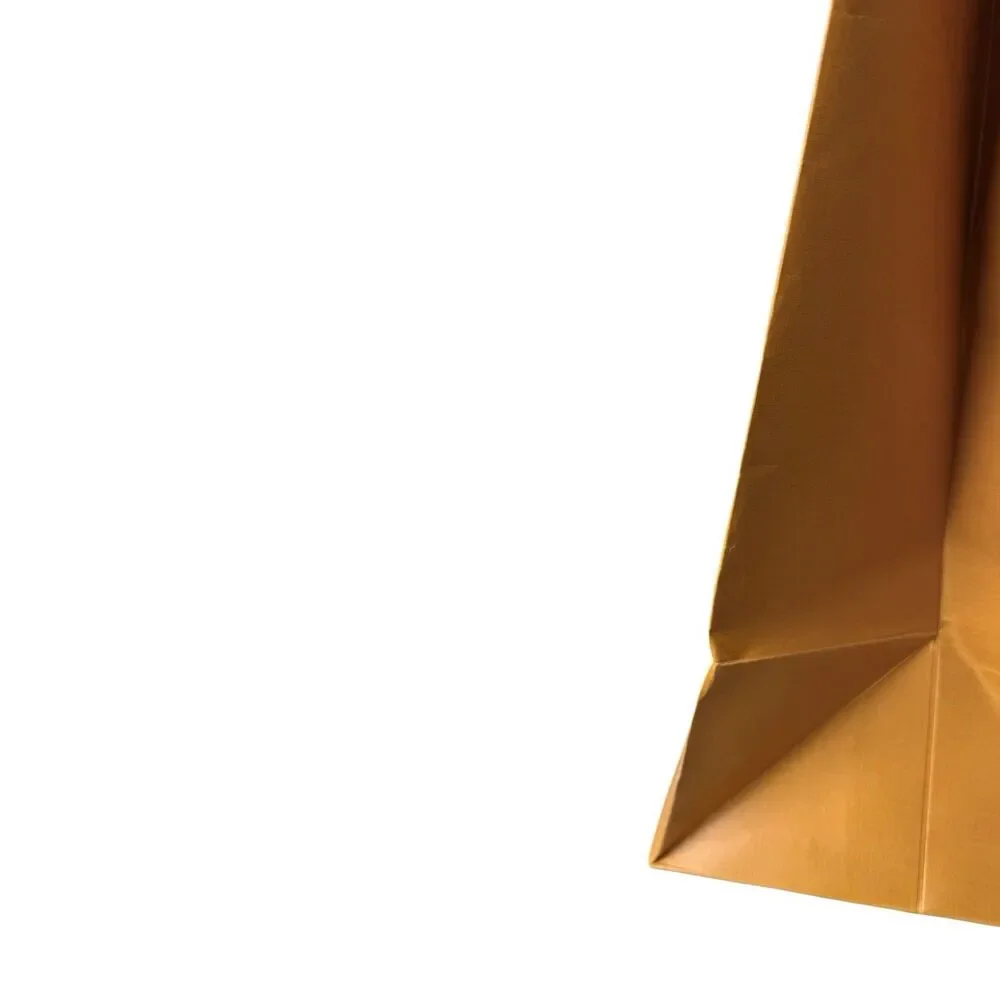 LOUIS VUITTON Large Saffron Shopping Paper Bag 19